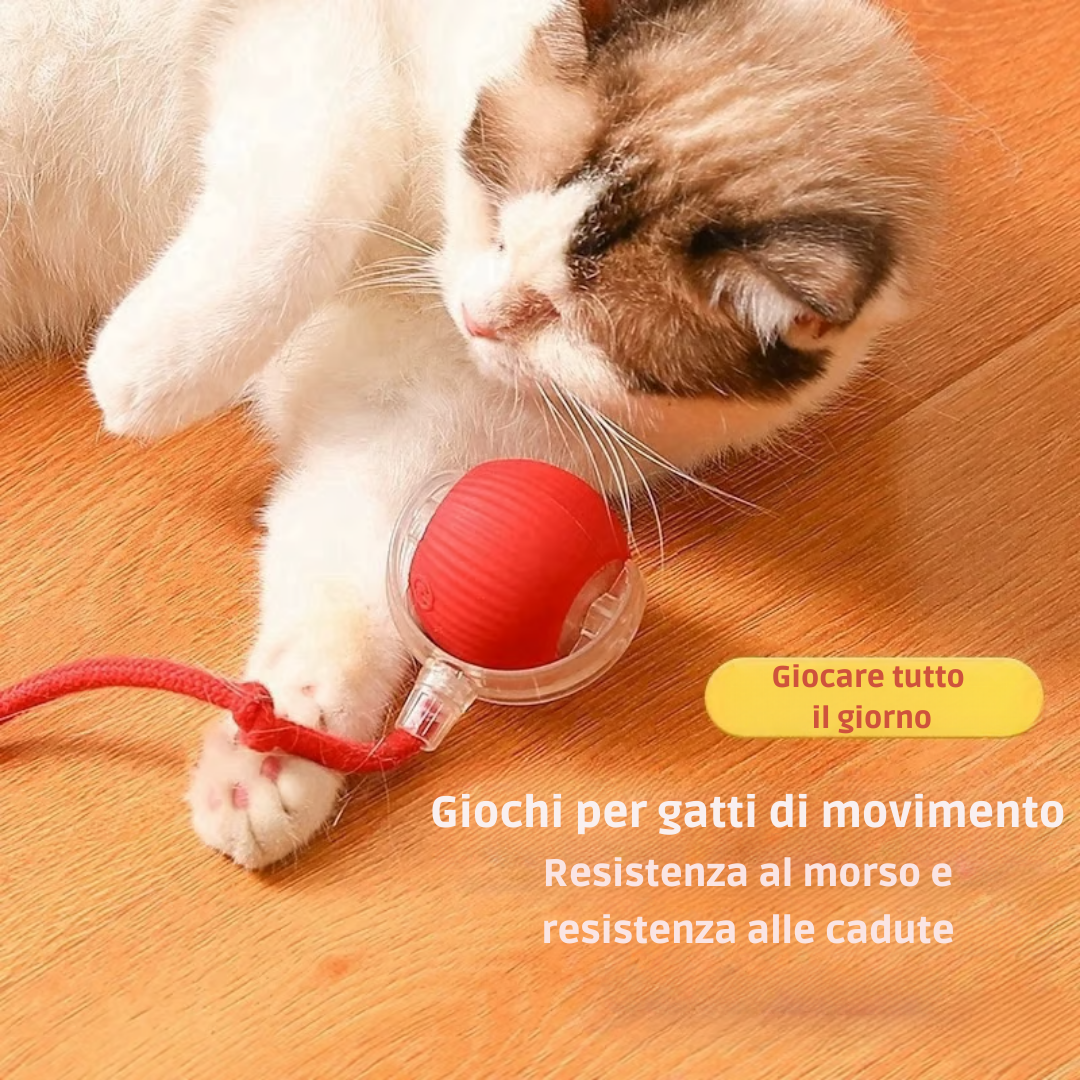 Palla Attiva Con Coda Per Gatti